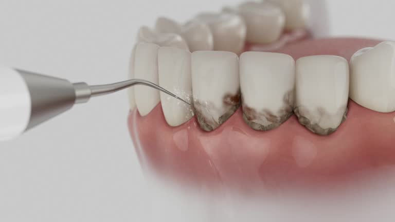 Reliable Dental contractor in Lamont, MI by Dentist Open Now